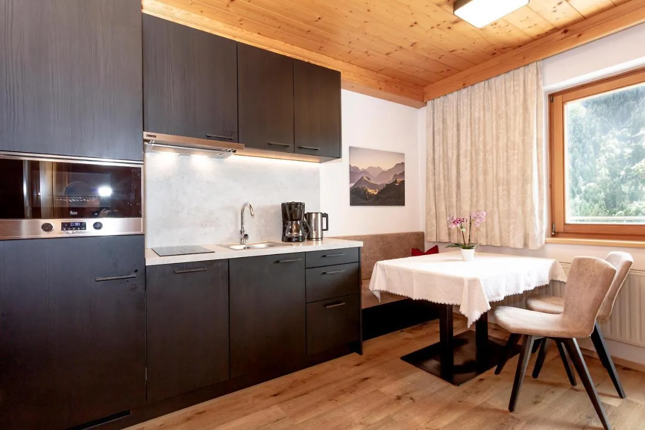 Apartment Appartement Schoene Aussicht Saalbach-Hinterglemm